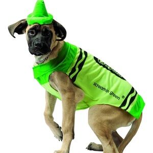 Rasta Imposta Crayola Screamin' Green Dog Costume💚💚